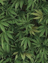 Load image into Gallery viewer, Medical Theme Medical Scrub Top Cannabis Leaves Marijuana Unisex Style for Men & Women
