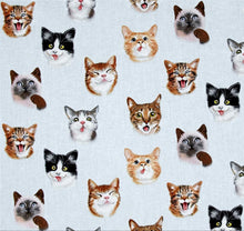 Load image into Gallery viewer, Animals Funny Faces Cat Selfies on Blue Fabric Stethoscope sock cover for Medical Professionals