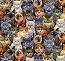 Load image into Gallery viewer, Animals Variety of Colorful Cat Breeds Packed Fabric Unisex Medical Surgical Scrub Caps Men & Women Tie Back and Bouffant Hat Styles