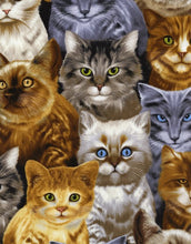 Load image into Gallery viewer, Cat Medical Scrub Top Cat Breeds Unisex Style Scrub Shirt for Men & Women