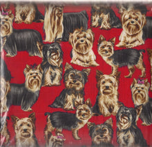 Load image into Gallery viewer, Animals So Cute These Yorkie Puppy Dogs on Red Fabric Stethoscope sock cover for Medical Professionals