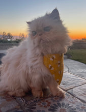 Load image into Gallery viewer, Bees Yellow Fabric Cat and Dogs Bandana Easy Slide over collar
