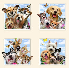 Load image into Gallery viewer, Size Small FUNNY DOG &amp; CAT SELFIES Inspired Unisex Style Shirt for Men &amp; Women *IN STOCK *READY TO SHIP
