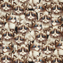 Load image into Gallery viewer, GRUMPY CAT INSPIRED Cat and Dogs Bandana Easy Slide over collar
