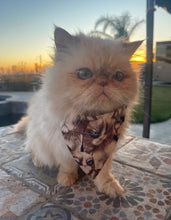 Load image into Gallery viewer, GRUMPY CAT INSPIRED Cat and Dogs Bandana Easy Slide over collar
