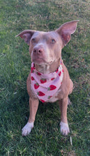 Load image into Gallery viewer, StrawberrIes on Pink fabric Cat and Dogs Bandana Easy Slide over collar
