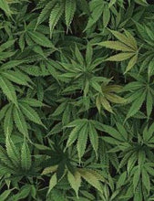 Load image into Gallery viewer, Cannabis Marijuana Leaves Green Fabric Unisex Medical Surgical Scrub Caps Men &amp; Women Tie Back and Bouffant Hat Styles
