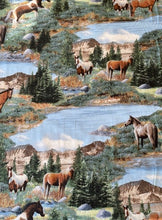 Load image into Gallery viewer, Horses Medical Scrub Top Roaming Wild Pasture Lake Unisex Relax Style for Men &amp; Women
